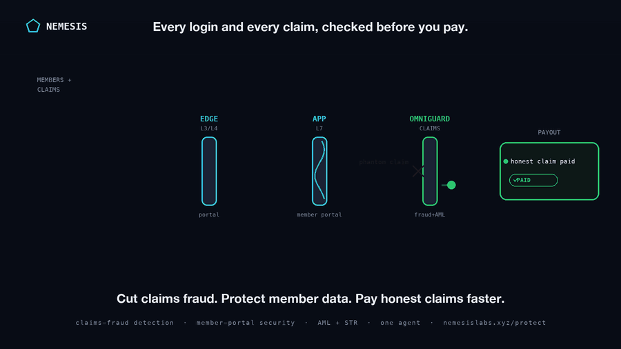 How Nemesis protects Security for Insurers & Health Insurance in one pass